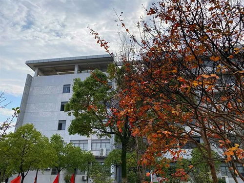 å®å¾½æ±½è»è·æ¥­æè¡å­¸é¢èè¥é½æ±½è»è·æ¥­æè¡å­¸é¢2022å¹´å ±èæå°