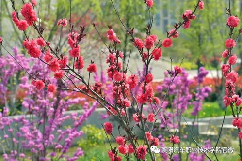 å¤§ç¾è¥é½æ±½è»è·æ¥­æè¡å­¸é¢ éæ¨å±è³æç¾äººéåæè±