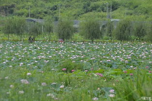 èé©¥ä¼æ«ªï¼å¿å¨åéââè´æé£é»é»å¥ç»(xiÃ n)çèæ¬¾å¯¶ä¾