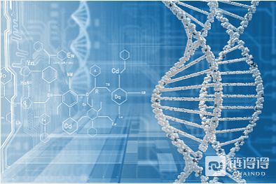 æ§(gÃ²u)å»ºé«(yÄ«)çåå®å® Sinsoèçç©æè¡(shÃ¹)éç¼(fÄ)çæ°èå¼