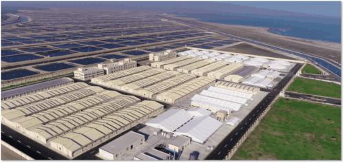 æè ä¸­åæ°´ç¢(chÇn)æ°æåççå´èµ·ä¹è·¯