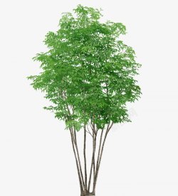 è¦è¦º(juÃ©)åæèéæç´ æ å¾æ°è¦å¹«å°å½±è¦æµ·å ±(bÃ o)è¨­(shÃ¨)è¨(jÃ¬)çå¨éè·¯æ¢ç´¢