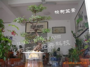 é»å±±å¸å¾½å·åè±ä¹é»è±åç§æ å¶ä»è±åèé®®æç¢åç²¾é¸