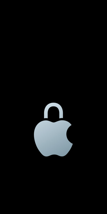 Zilverkleurig Apple logo met hangslot in plaats van blad boven het logo