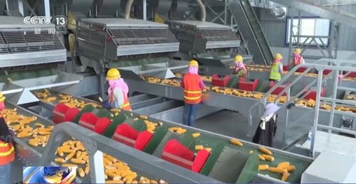 å¾2264忤å°13908忤 ä¸å(guó)ç³§é£çç¢(chÇn)ç©©(wÄn)å®ç¼(fÄ)å±ä¹è·¯