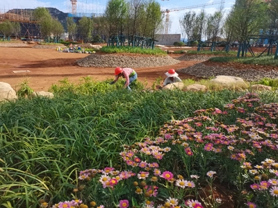 èç¾©å¸æåèè¡ä¸­å¿é ç®ç¶ åå·¥ç¨ç©©æ­¥æ¨é² çºåå¸å¢æ·»çæäººææ°å°æ¨