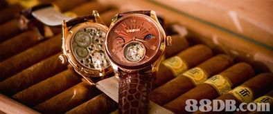 å°æ¥­(yÃ¨)ç å¯¶éè¡¨ç¢(chÇn)åæå½± æåéè¡¨é·å®çèè¡(shÃ¹)èç§å­¸(xuÃ©)