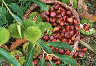 èè­å±±ä¸å¥½é¢¨åï¼é¹½ç°æ²³çæ¿æ é¦ââè¾²å¯ç¢åé·å®å©åéææ¯èæ°ç¯ç« 