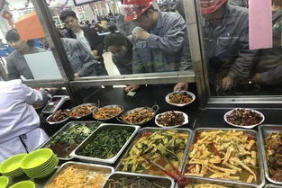 éæå¡å·¥æäººå¿ï¼å£éè½æºåå¤æåä¸­å¿å¤æªå¹¶èæåé¤é£²æåè³ªé