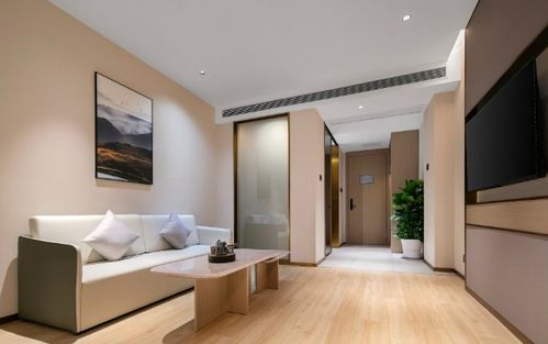 è¥é½èªç©ºè·¯éºæ¡éåº è§£éé«ç´èä¸é«å·çåè¶ä½å®¿æå(wÃ¹)