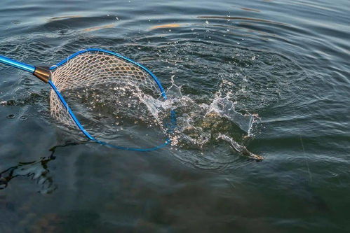 æ¥å­£æ°´ç¢(chÇn)é¤(yÇng)æ®é²ç å§(nÃ¨i)å¤çµ(jiÃ©)åï¼ç­ç¢å¥åº·é²ç·