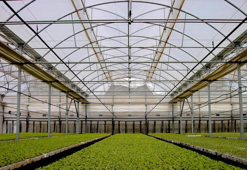 æ·±åº¦è§£è® æº«å®¤å¤§æ£âå¹¾å­é¼âå¼éª¨æ¶èæ°´ç¢(chÇn)é¤(yÇng)æ®ççµ(jiÃ©)åæ(yÄ«ng)ç¨