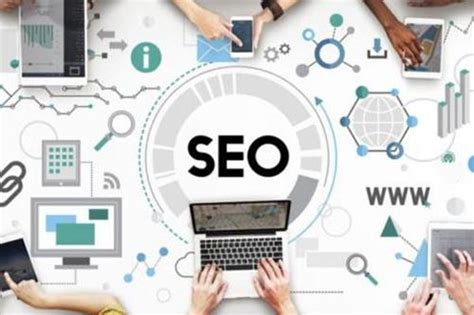 ç¶¿é½ç¶²çµ¡SEOèæ±èç¶²ç«SEO è»ä»¶å¤åæåæ°è¶¨å¢è§£æ