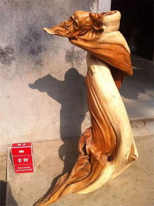 100ç¨®ç²¾åå¤ªè¡å´æï¼éæ¼ä½ çç¼ç