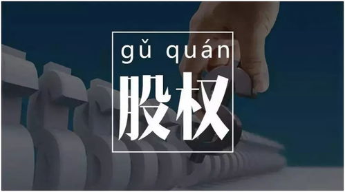 é«åå¼äººç¾¤æè³åå¥½èåéåè³ç¢ç®¡çä¹é