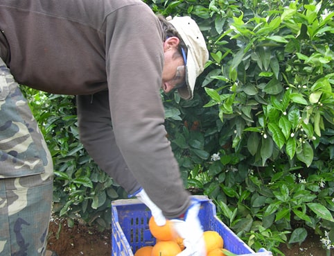 Imagen Trastornos Musculoesqueléticos