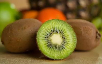 å·§è¶ä¸éåï¼é»åå©é£ç¼ç´æ¡é·å® é¢¨éªè¦é¿èçå©æå