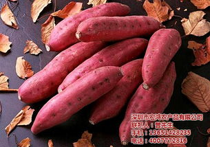 æ·±å³è¾²(nÃ³ng)å¯ç¢(chÇn)åééå°å®¶ å®é´»ç¦½èè¾²(nÃ³ng)å¯ç¢(chÇn)åééå» å®¶çæå(wÃ¹)èå¹(jiÃ )å¼