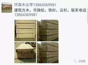 2017å¹´4æ12æ¥ç²¾åæ¨æé·å®ä¿¡æ¯ å±¥ç´ææºï¼ä¸å¿åå¿