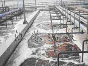 ç§æè³¦è½ï¼ç¢§æ°´æ°ç ç°ä¿è¨­åé åæ±¡æ°´èçææ°ææå±ç¤º