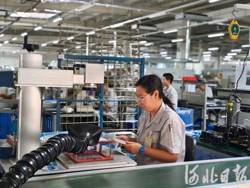 å°ç²¾ç¹æ°âå°å·¨äººâæè¡(shù)æå(wù)æ¢è¨ªè¨ââ秦çå³¶ç¶(jÄ«ng)æ¿(jì)æè¡(shù)éç¼(fÄ)å(qÅ«)è¦è