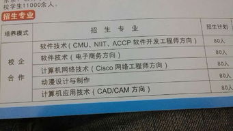 å¤§å­¸è»ä»¶æ¸¬è©¦æ¹åå°æ¥­é¸ææå è¨ç®æ©ç¶²çµ¡ãè¨ç®æ©æç¨èè»ä»¶æè¡æ·±åº¦è§£æ