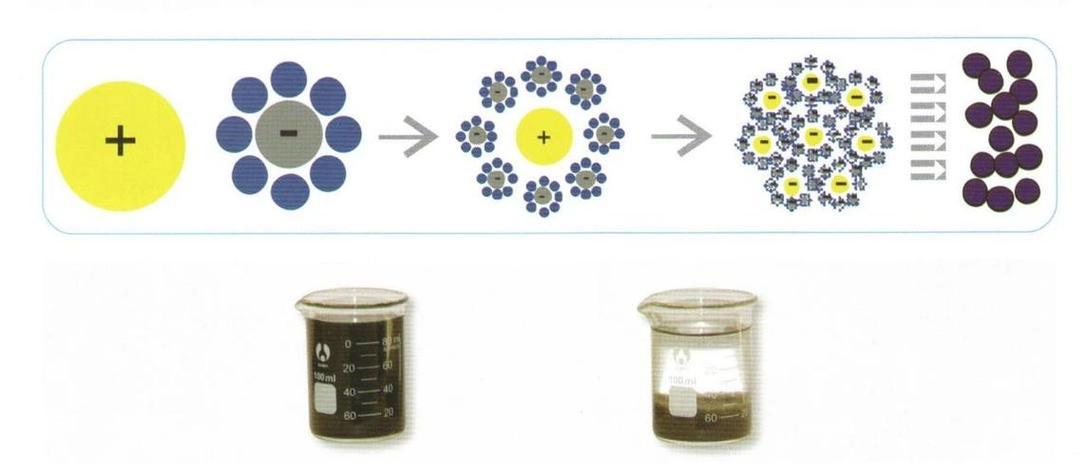 æ··åæ²æ·æ³ æ°´ååçâé»ç§æâèæª¢æ¸¬ç§æçå®ç¾çµå