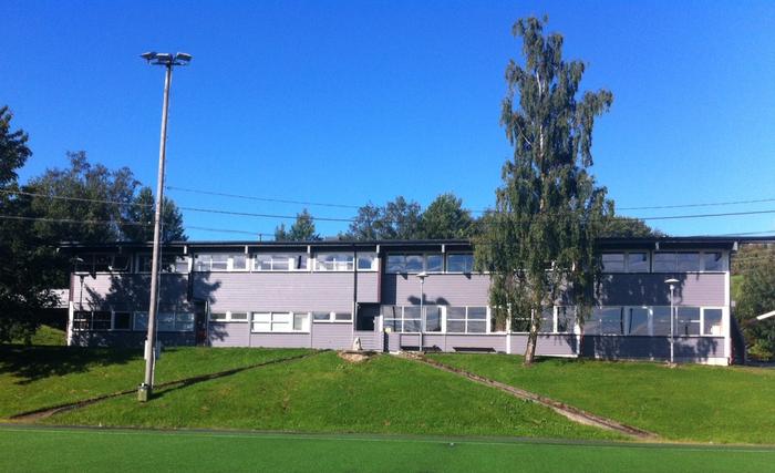 Grå skule.JPG