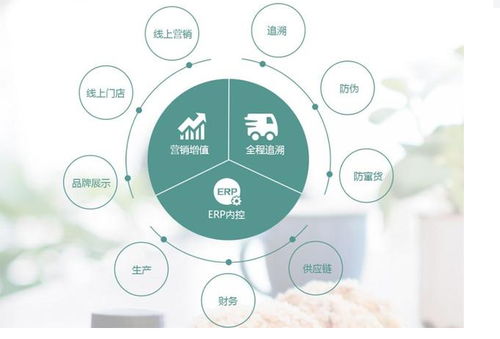 é£å貨æºè¿½æº¯ç³»çµ±(tÇng)èé²ç«è²¨æº¯æº å
¨å315ç¢(chÇn)åé²å½æ¥è©¢ä¸å¿çä¿¡æ¯å¨è©¢æå