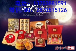 ä¸­ç§ä½³ç¯(jiÃ©)è³ï¼æ´é½(yÃ¡ng)æé¤æ¹ç¼(fÄ)è¨è³¼(gÃ²u)æå ä¸ç«å¼ç¦®çå®å¶èå» å®¶ç´ä¾æå(wÃ¹)