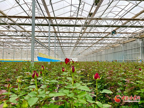 ç§æè³¦è½ï¼é¦æº¢éå è­å·æ°å(qÅ«)è±åç¢(chÇn)æ¥­(yÃ¨)çè¶è®ä¹è·¯