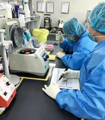 æ§(gÃ²u)ç­çç©å®å¨å±é ä¸­å(guÃ³)å¨çç©ç§æç ç¼(fÄ)é (lÇng)åçæ°(zhÃ n)ç¥å¯¦(shÃ­)è¸