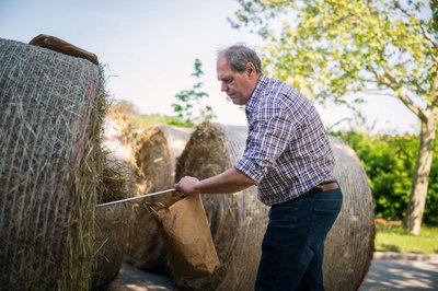 Manfred Hollmann zieht Proben aus Heuballen.