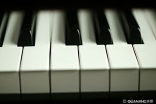 é¼ç´ é»ç½éµéçæ°¸ææ¨ç« 