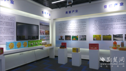 å®é¸é?zhÇn)秸ç©?䏿 ¹ç±³ç²ä¸²èµ·çç¾åé£åç¢(chÇn)æ¥(yè)éèç¶²(wÇng)絡(luò)æåç¶(jÄ«ng)çæ°è·¯å¾