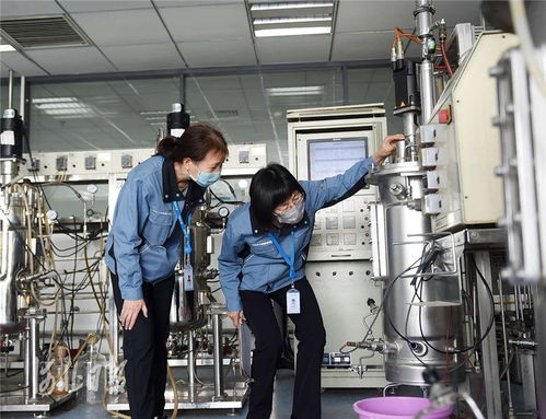 åµ(chuÃ ng)æ°æ²³åæ­£ç¶(dÄng)æ(shÃ­) æè¡(shÃ¹)äº¤æµè³¦è½é«è³ª(zhÃ¬)éç¼(fÄ)å±æ°ç¯ç« 