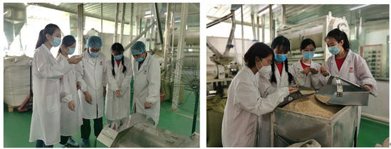 çéº¥ä¹é¦å³åæ¹ââéå¹´ç´è²ç­å¤¢ä¹æä¸­çæè¡äº¤æµèç¢æ¥­è³¦è½