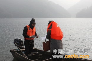 æ±å±±å¸å¤æªå¹¶èç­ç¢ç¯åå®å¨é²ç·ï¼å®è­·æ¼æ¥­çç¢èå¸å ´è³ªééå®å¨