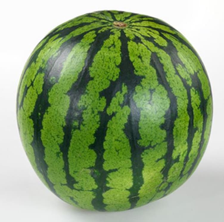 Vannmelon hel Rød