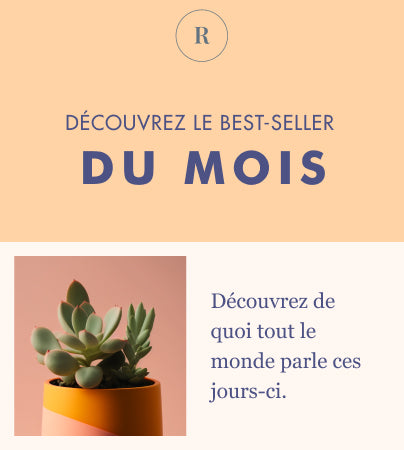 Modèle d’e-mail avec le texte Découvrez le best-seller du mois et la photo d’une plante en pot.