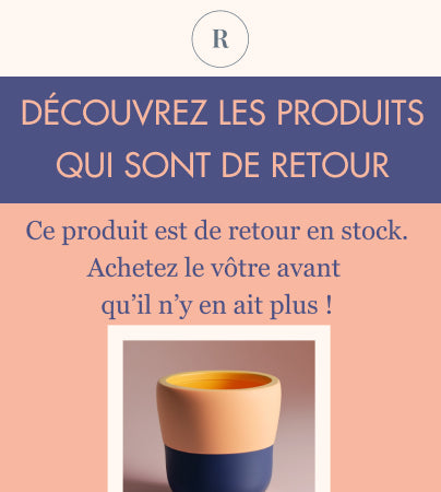 Modèle d’e-mail avec le texte De retour en stock et la photo d’une plante en pot.