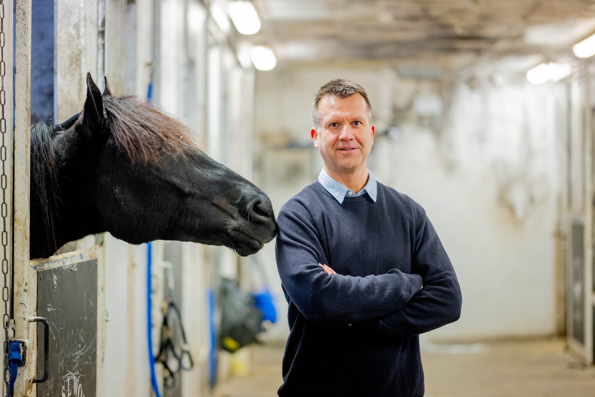 Working animal, Horse, Neck, Stable, Jacket