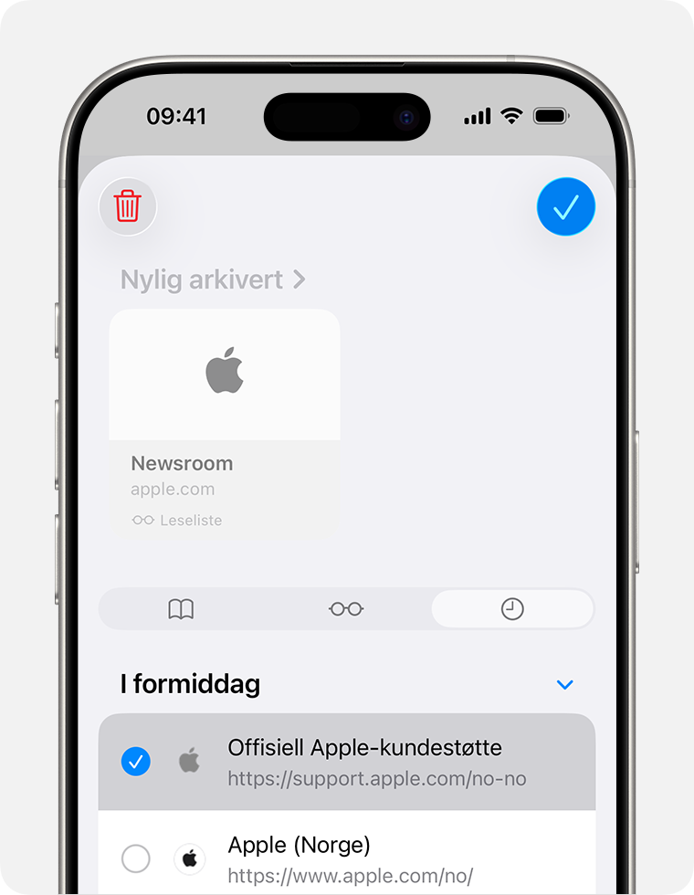 iPhone-skjerm som viser Logg-fanen valgt med et nettsted valgt for sletting.