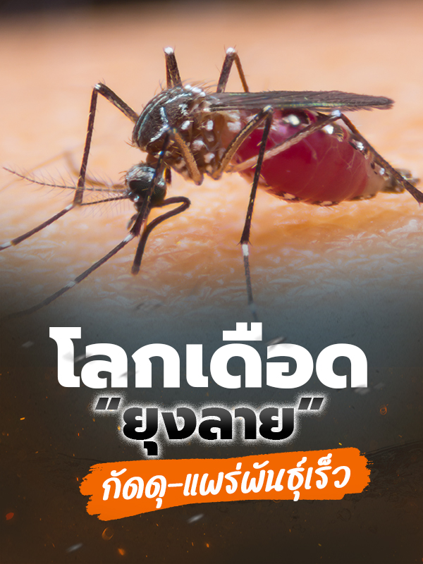 âà¸¢à¸¸à¸â à¸¢à¸¸à¸à¹à¸¥à¸à¹à¸à¸·à¸­à¸ à¹à¸à¸£à¹à¸à¸±à¸à¸à¸¸à¹à¹à¸£à¹à¸§à¸à¸¶à¹à¸ à¸à¸±à¸à¸à¸¸à¸à¸¶à¹à¸ !