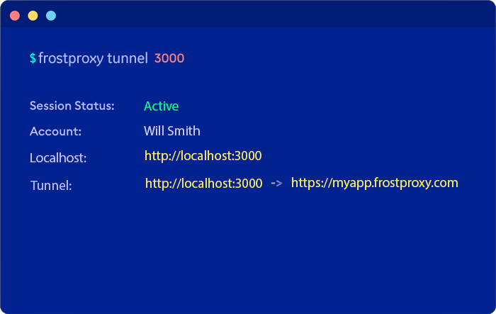 Terminal tunnel command