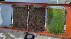 Grafén. Bildet viser materialer som er utsatt for begroing.