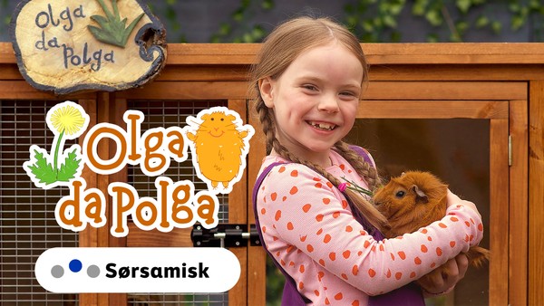 Mijjieh marsvijnem Olga da Polga jïh altese kreekevoelph gieltegs heamturinie dåeriedibie/Følg med på de gøyale historiene til marsvinet Olga da Polga. På sørsamisk.