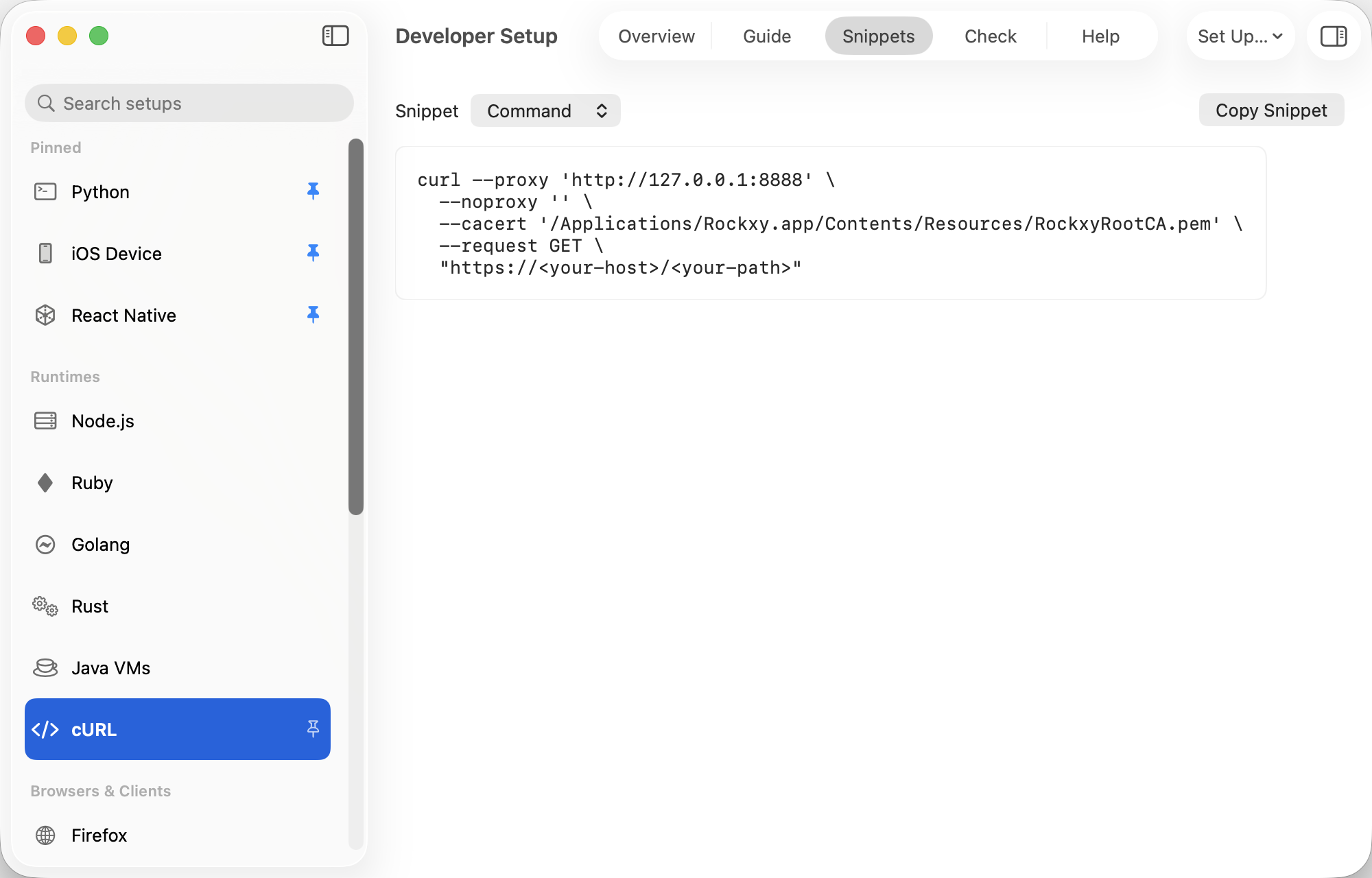 Rockxy Developer Setup Hub with copy-paste proxy snippets and one-click verify