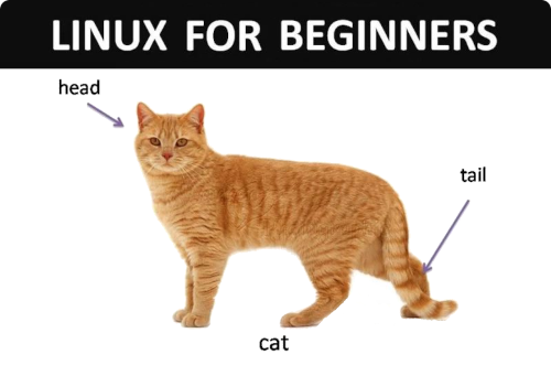 Cat labeled head, cat, and tail illustrating Linux commands