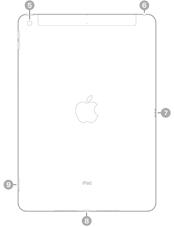 La vue de dos de l’iPad, avec des légendes liées aux éléments suivants, dans le sens horaire à partir du coin supérieur gauche : appareil photo, prise casque, Smart Connector, connecteur Lightning et support pour carte SIM (Wi-Fi + Cellular).